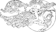 Elaborate Pegasus