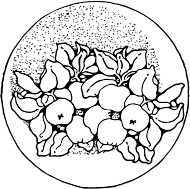 the silver apples of the moon