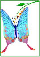 Clear Wing Butterfly