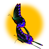 Peacock Swallowtail