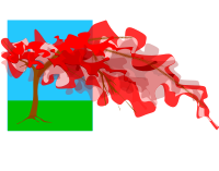 Flamboyan