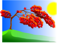 Flamboyan 2