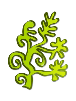 water plant