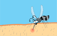 Mosquito Bites