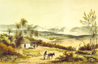 African scene 21 - Ederi