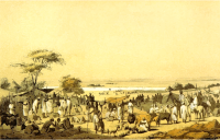 African scene 26 - Market of Sokoto