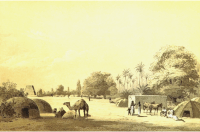 African scene 46 - Gagho Or Gogo