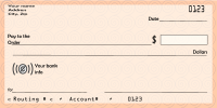 Blank cheque or check 