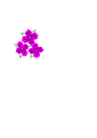 small flower