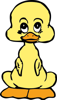 baby duck