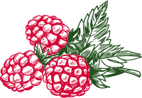 Raspberry 4