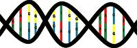 DNA Piece