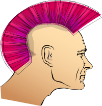 Punk Man