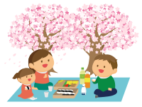 Cherry Blossom Viewing