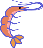 shrimp