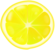 Lemon slice