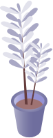 Violetry plant