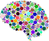 Brain Circles Prismatic