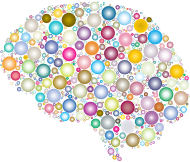 Brain Circles Prismatic 2