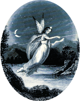 Angel 7