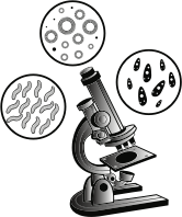 Microscope and Virus