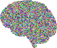 Hexagonal Brain Prismatic