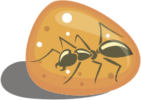 Ant in Amber