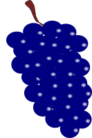 grape blue