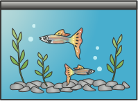 Aquarium