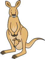 Kangaroo