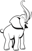 Elephant (#1)