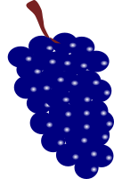 grapes blue