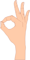 OK Gesture (#1)