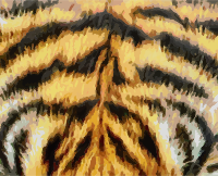 Animal fur