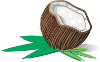 Coconut