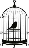 Bird in cage
