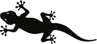 Gecko (#1)