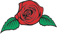 Rose (#2)