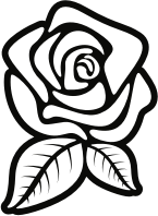 Rose (#4)