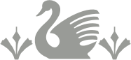 Swan – Schwan