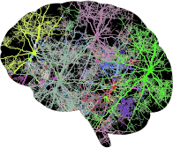 Lightning Brain Prismatic