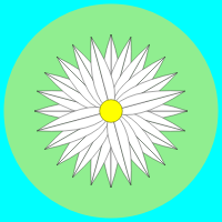 Lily Pad