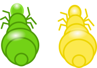 Pucerons verts et jaunes