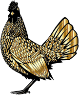 Golden Rooster