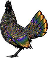 Chromatic Rooster