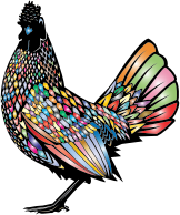 Chromatic Rooster 2