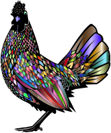 Chromatic Rooster 4