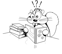 Squirrel reading book about nuts