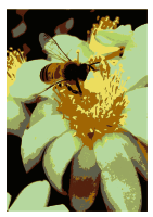 Abeja
