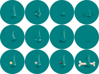 Noses of Glitch